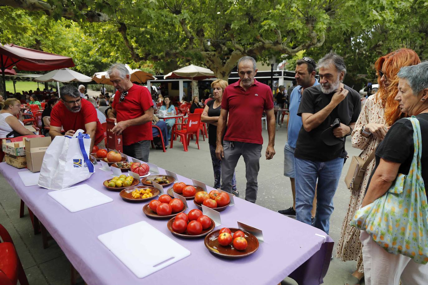 La Feria del Tomate de Tudela, en imágenes