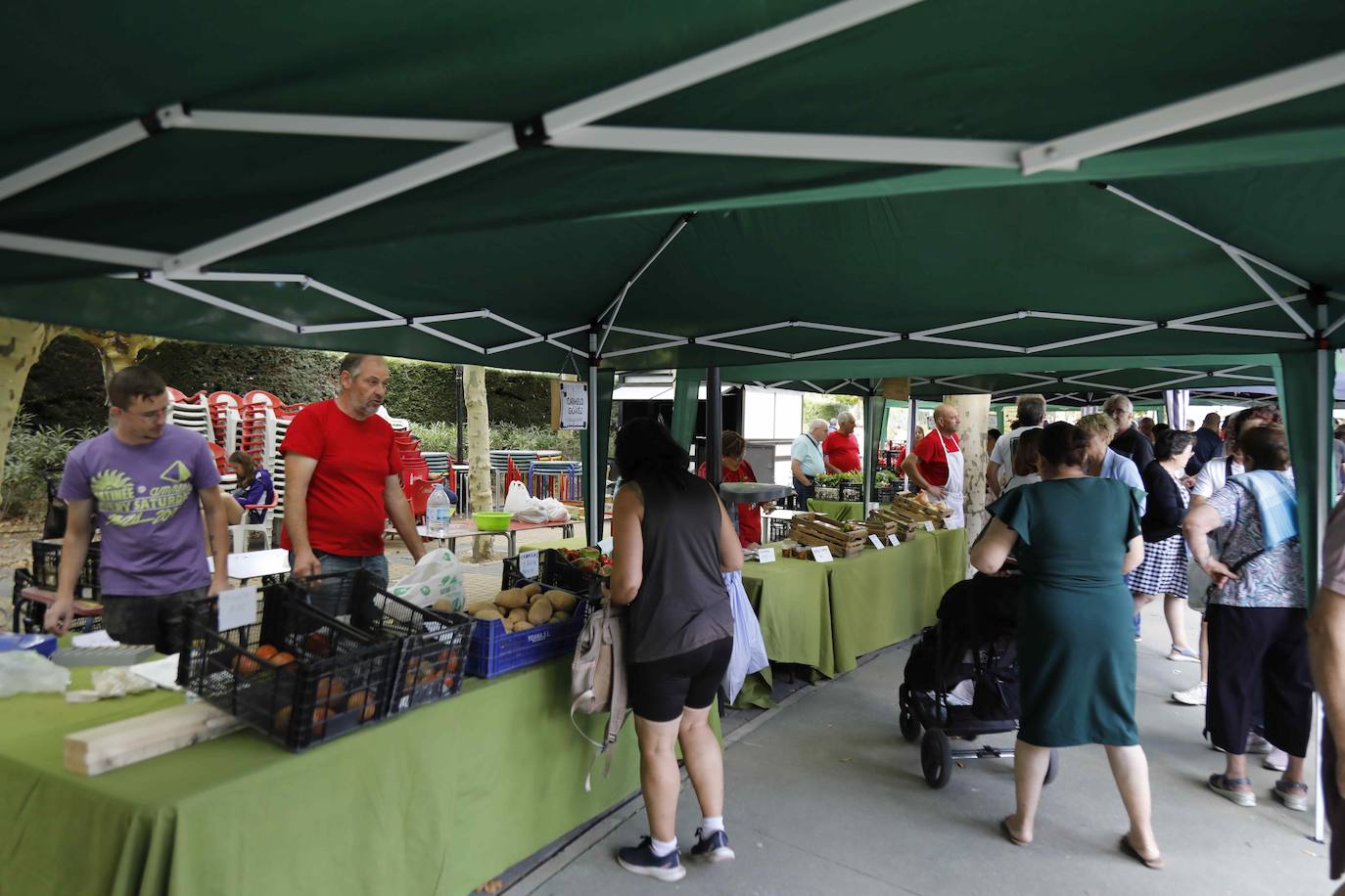 La Feria del Tomate de Tudela, en imágenes