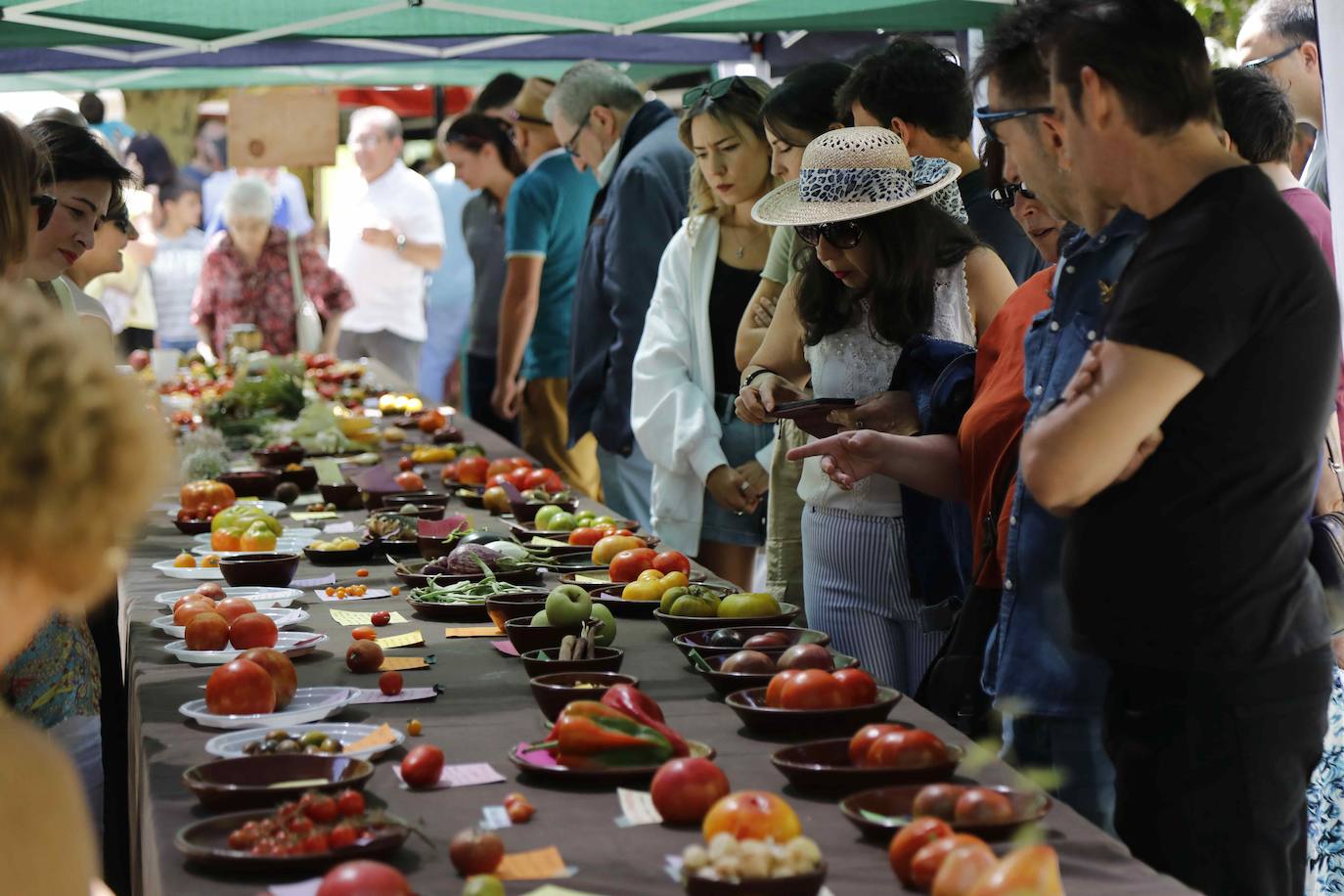 La Feria del Tomate de Tudela, en imágenes