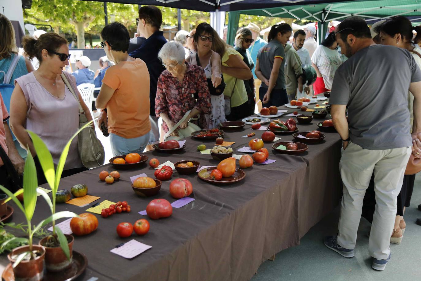 La Feria del Tomate de Tudela, en imágenes