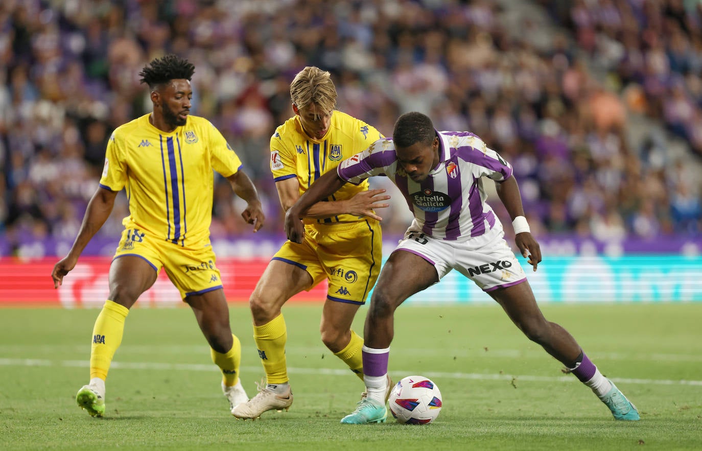 El partido entre en Real Valladolid y el Alcorcón, en imágenes (1/3)