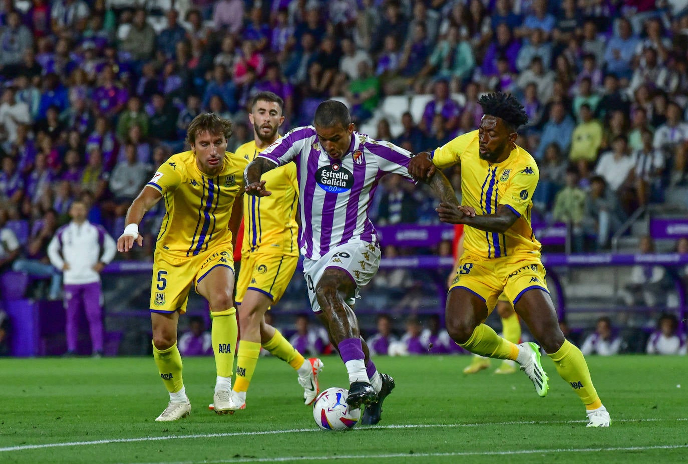 El partido entre en Real Valladolid y el Alcorcón, en imágenes (2/3)