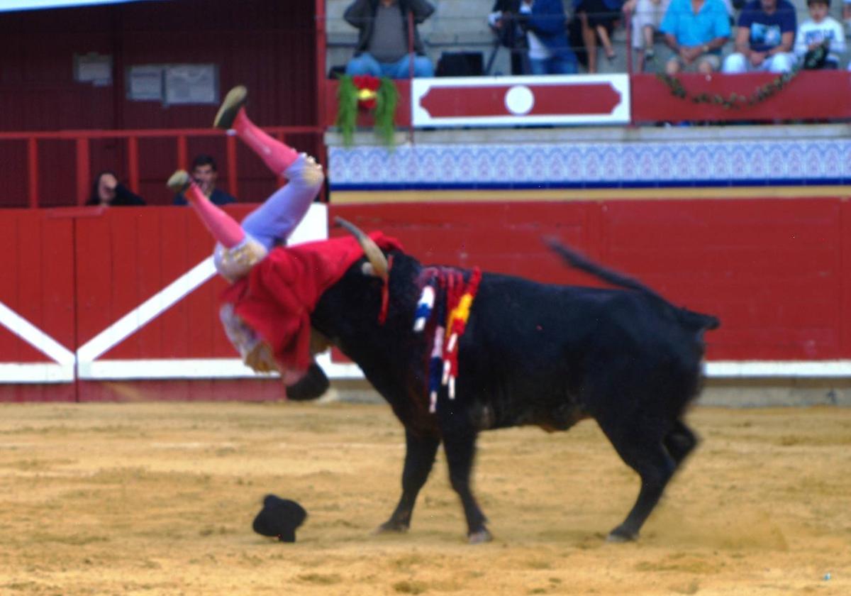 El novillo levanta a Jarocho por la ingle.