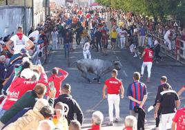 Uno de los toros rezagados, en las calles de Cuéllar.