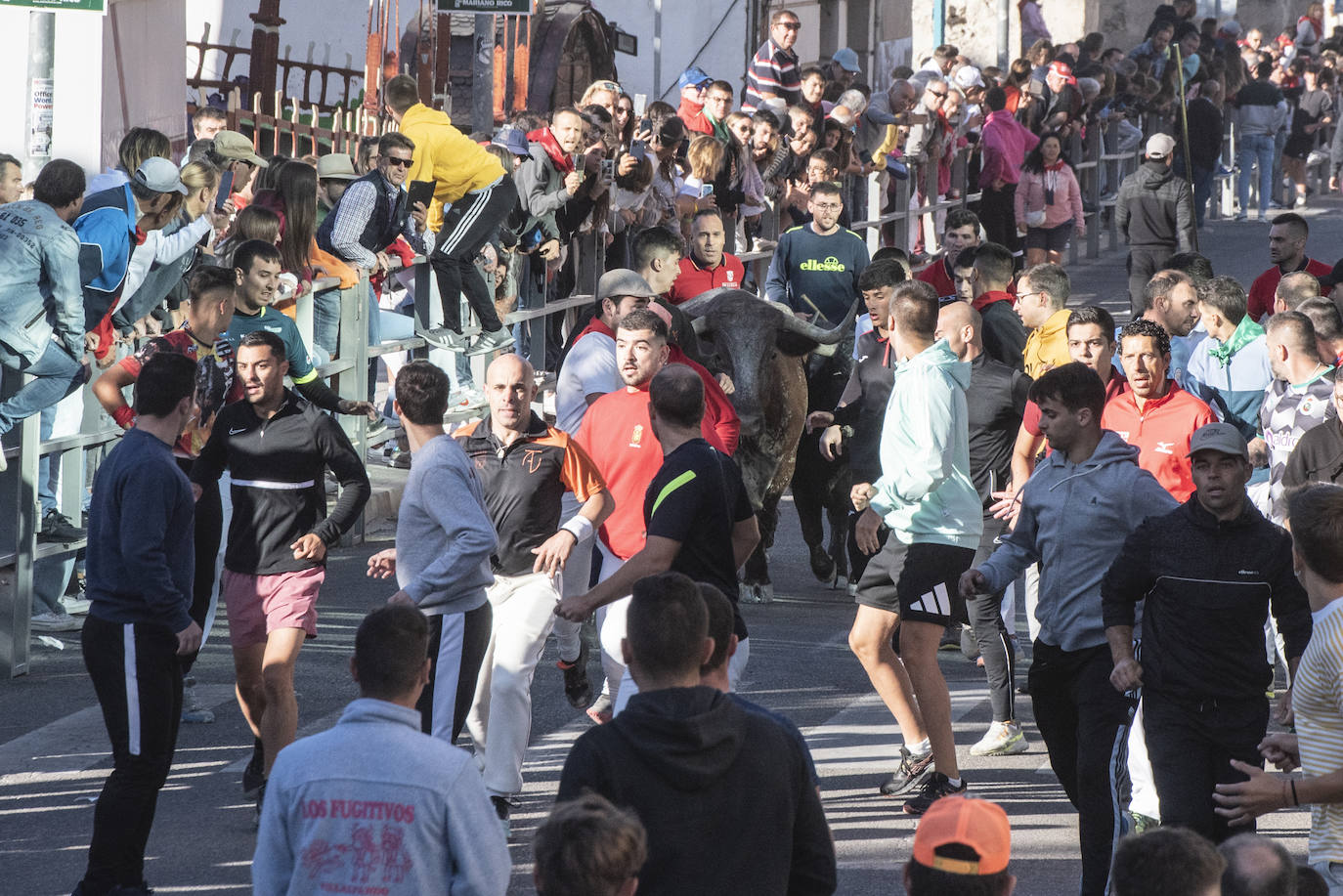 El segundo encierro de las fiestas de Cuéllar, en imágenes (2/2)