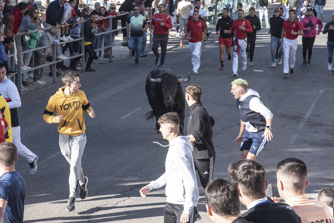 El segundo encierro de las fiestas de Cuéllar, en imágenes (2/2)