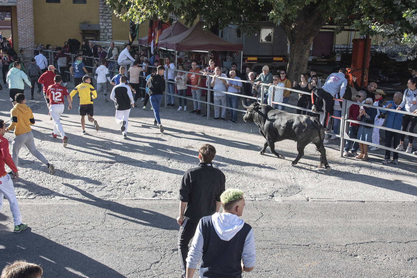 El segundo encierro de las fiestas de Cuéllar, en imágenes (2/2)