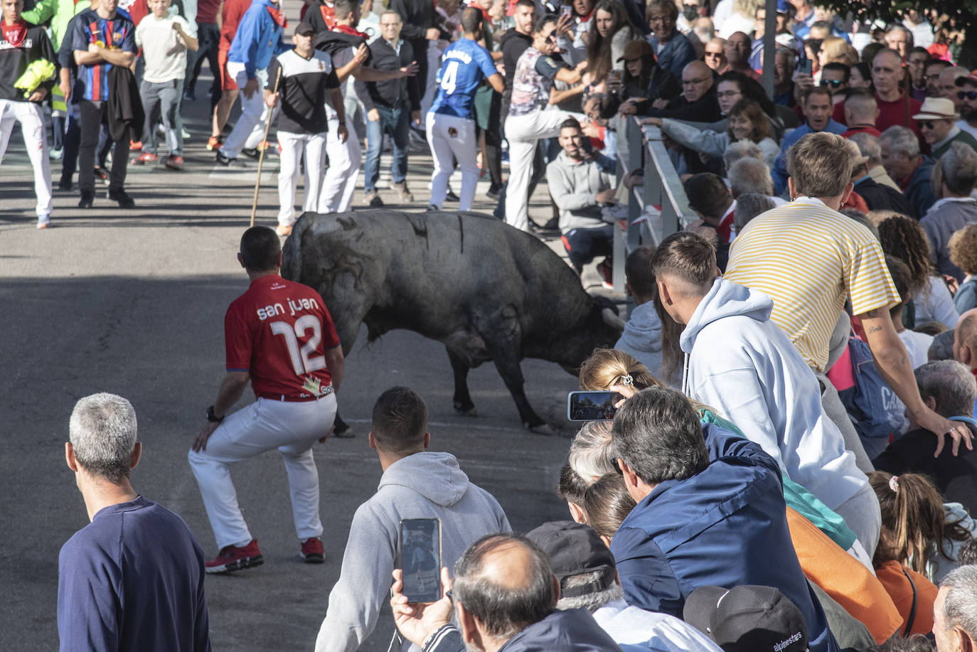 El segundo encierro de las fiestas de Cuéllar, en imágenes (2/2)