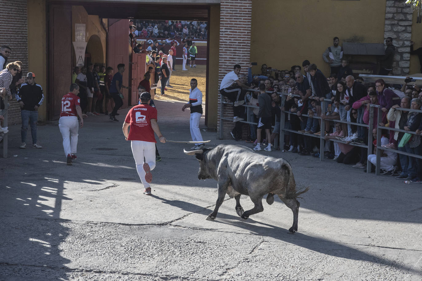 El segundo encierro de las fiestas de Cuéllar, en imágenes (2/2)