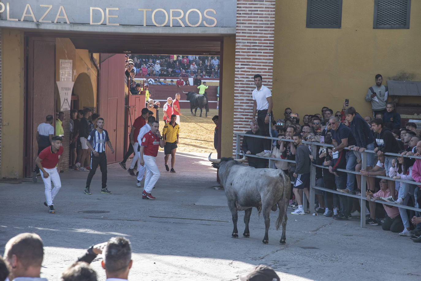 El segundo encierro de las fiestas de Cuéllar, en imágenes (2/2)