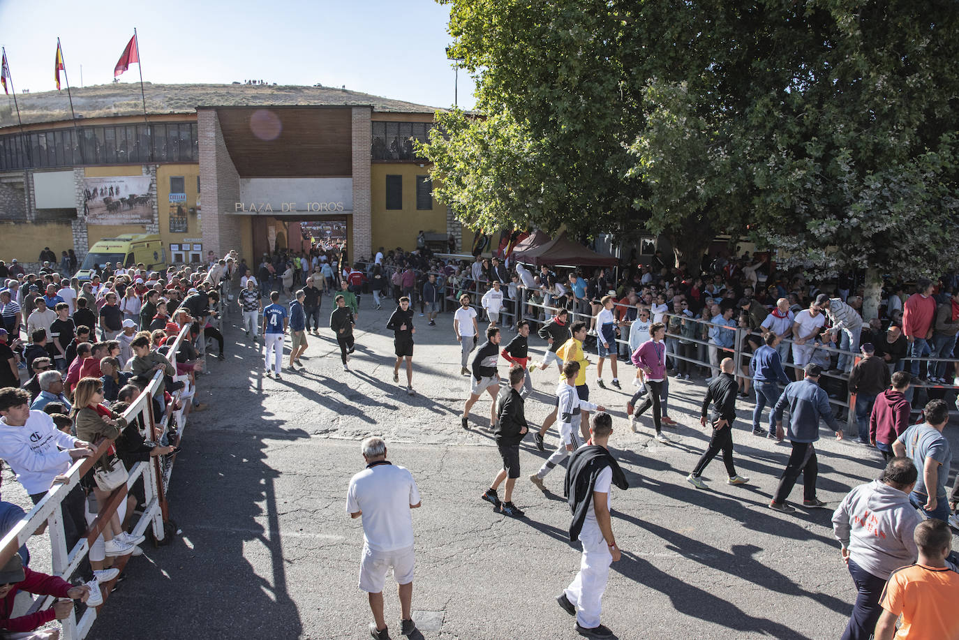 El segundo encierro de las fiestas de Cuéllar, en imágenes (2/2)