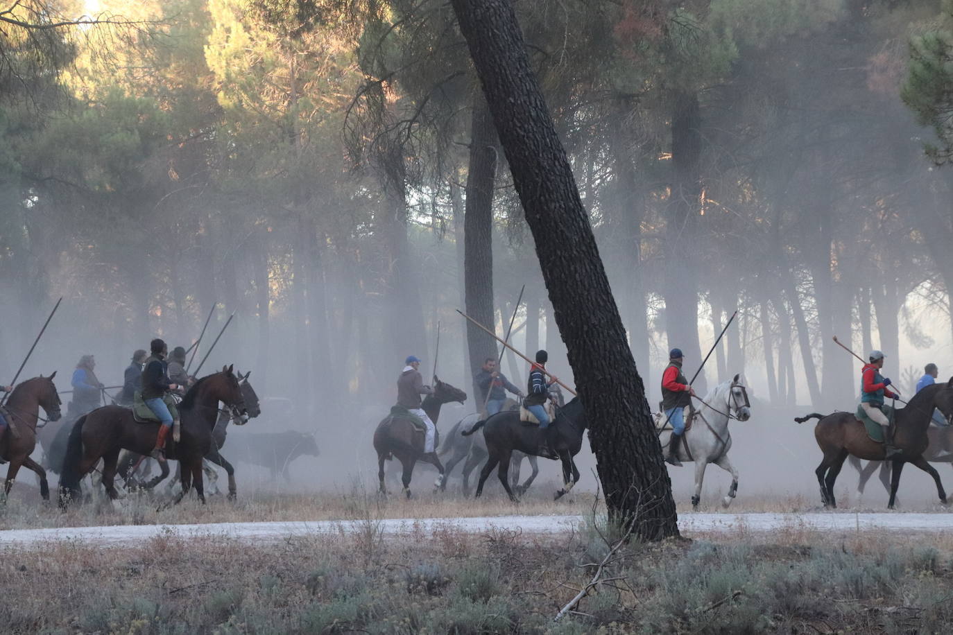 Segundo encierro de Cuéllar.