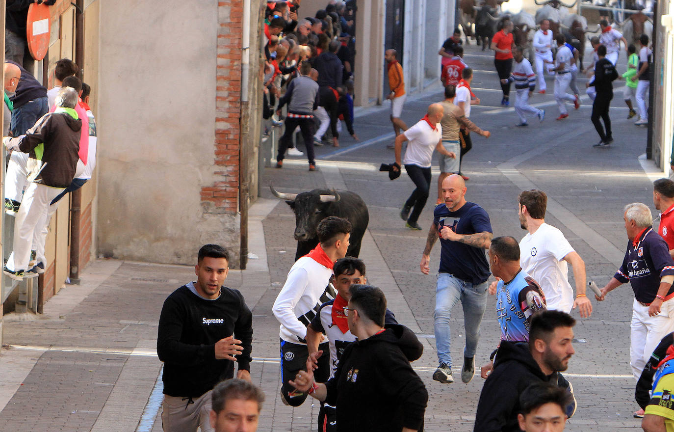 El tercer encierro de Cuéllar, en imágenes (2 de 2)