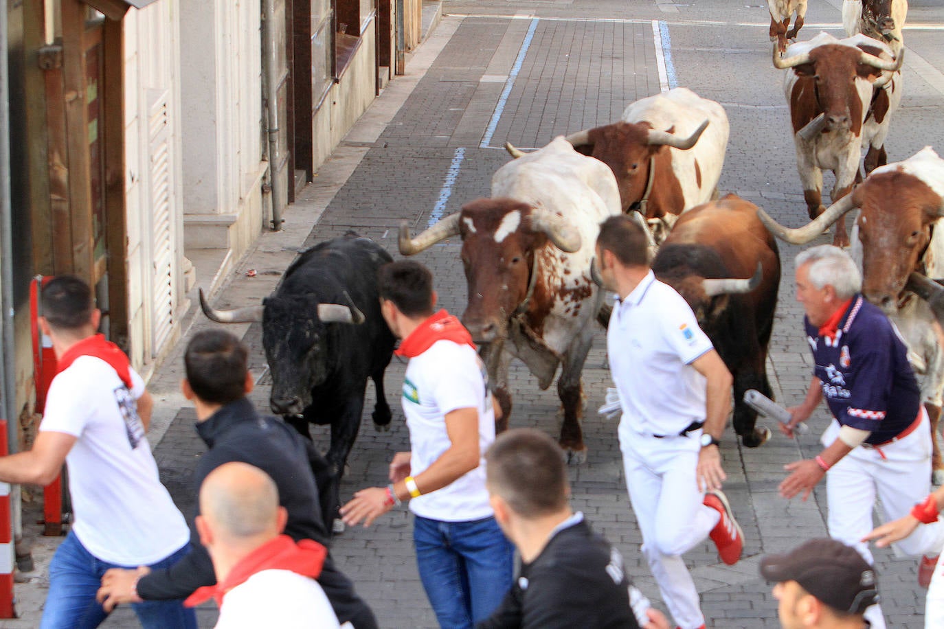 El tercer encierro de Cuéllar, en imágenes (2 de 2)