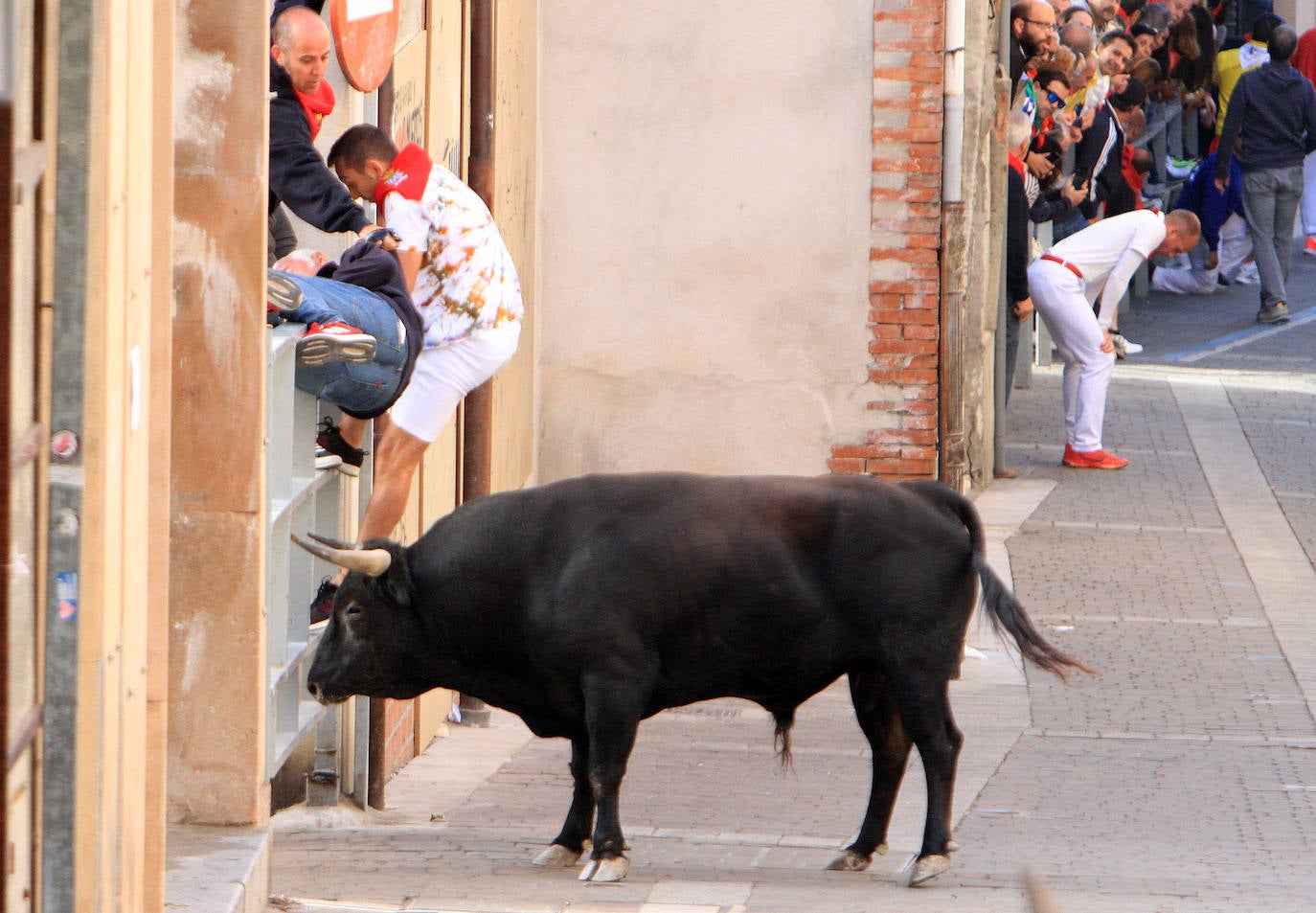 El tercer encierro de Cuéllar, en imágenes (2 de 2)