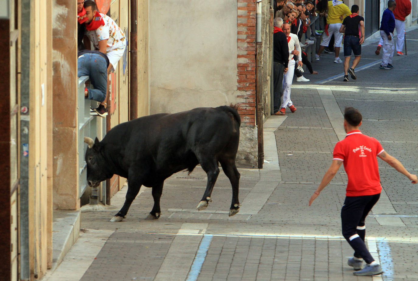 El tercer encierro de Cuéllar, en imágenes (2 de 2)