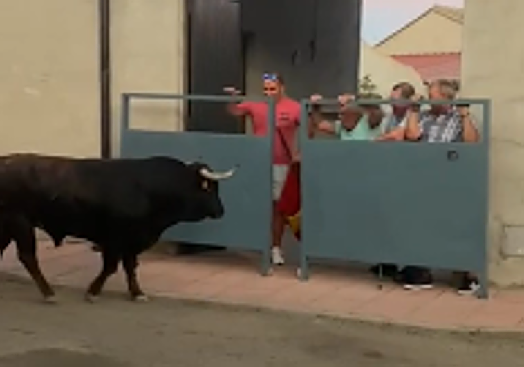 Un toro se cuela en el corral de una casa en el encierro de Fresno el Viejo.