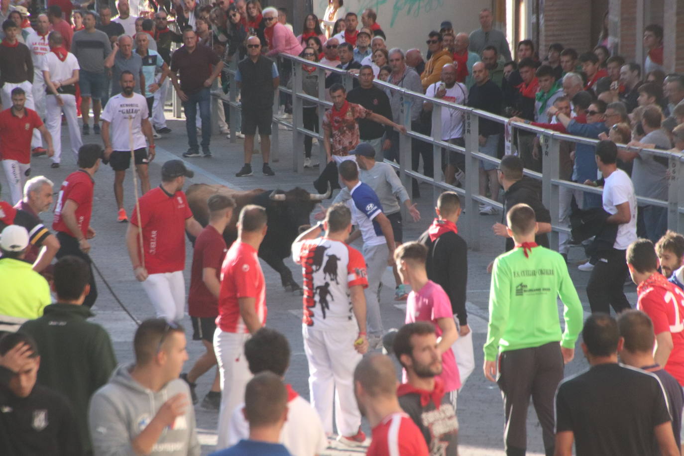 El cuarto encierro de Cuéllar, en imágenes (1 de 2)