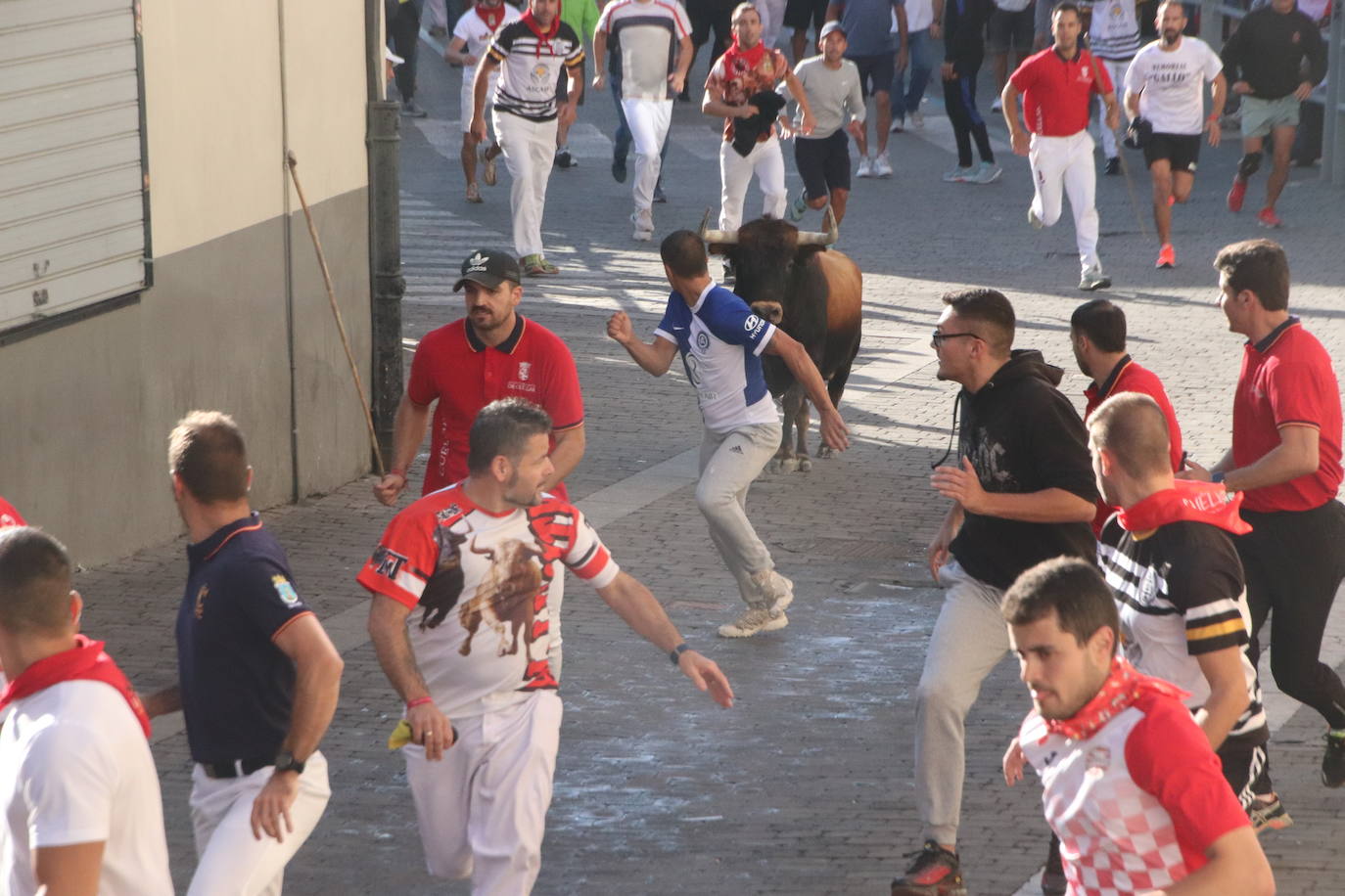 El cuarto encierro de Cuéllar, en imágenes (1 de 2)