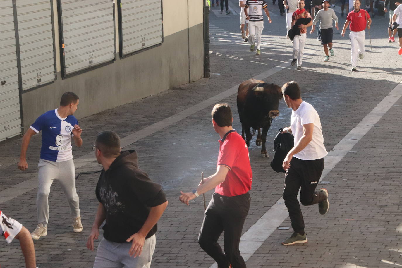 El cuarto encierro de Cuéllar, en imágenes (1 de 2)