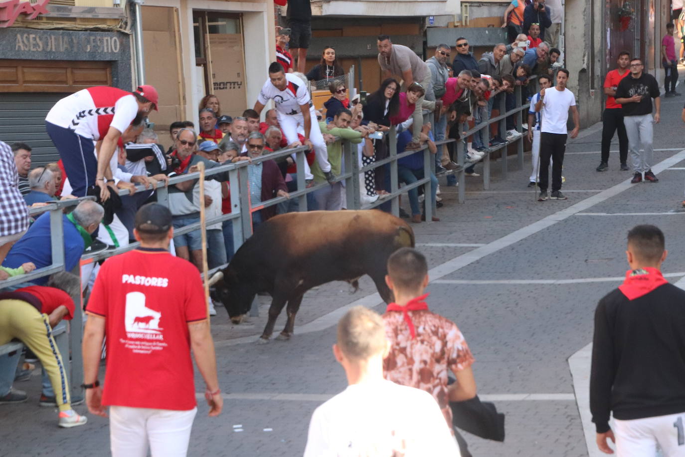 El cuarto encierro de Cuéllar, en imágenes (1 de 2)