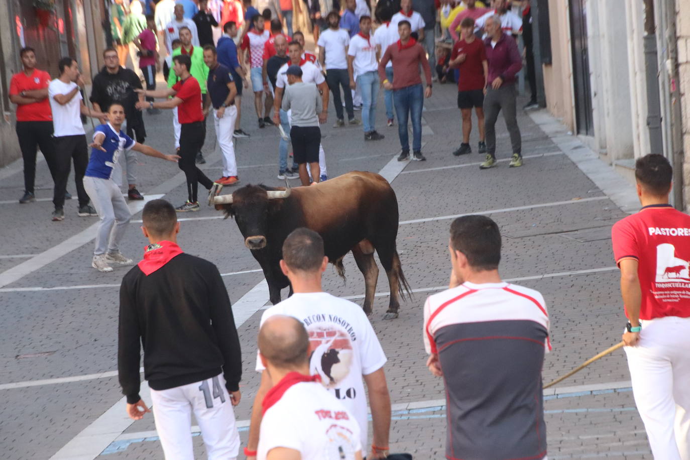 El cuarto encierro de Cuéllar, en imágenes (1 de 2)