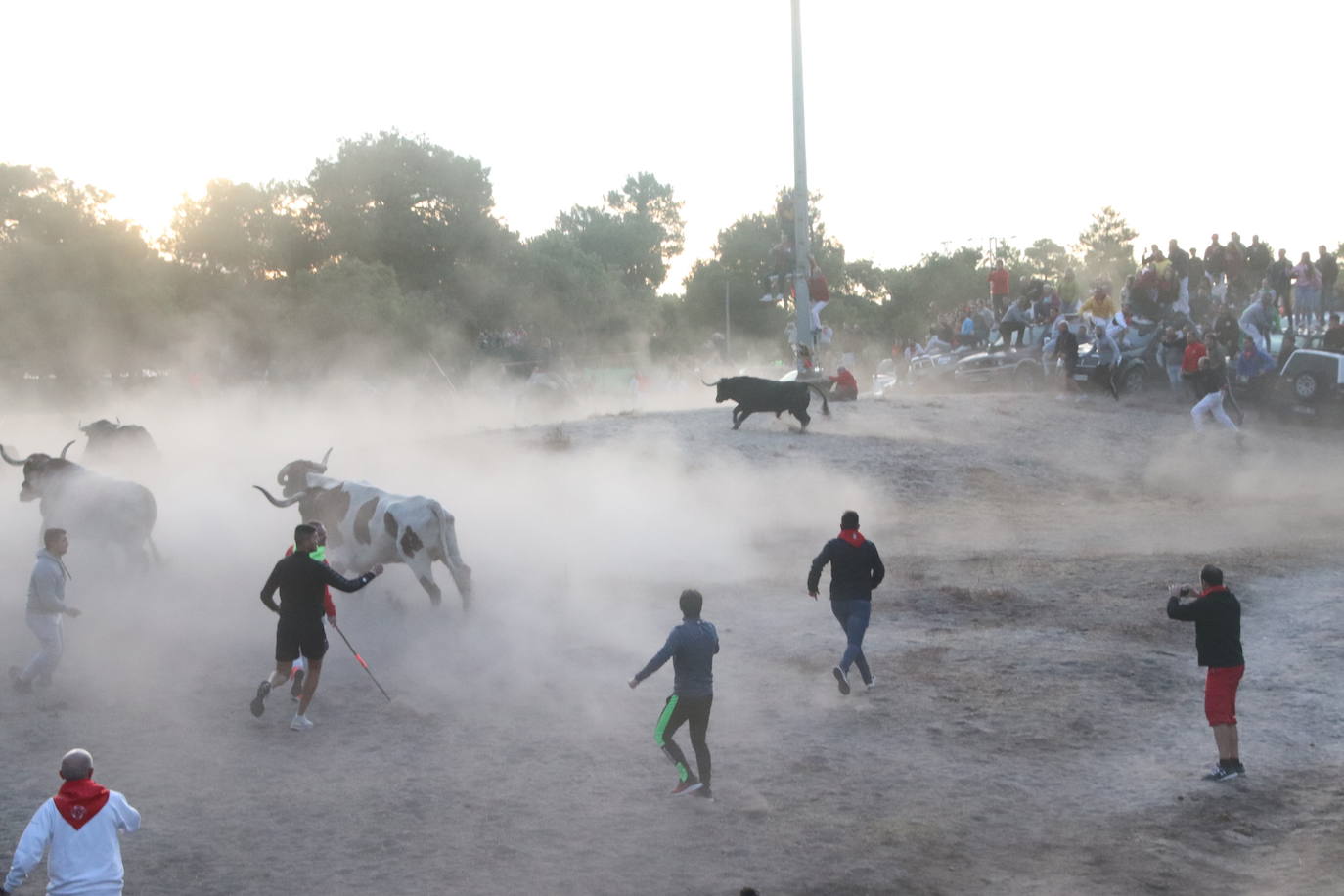 El cuarto encierro de Cuéllar, en imágenes (1 de 2)