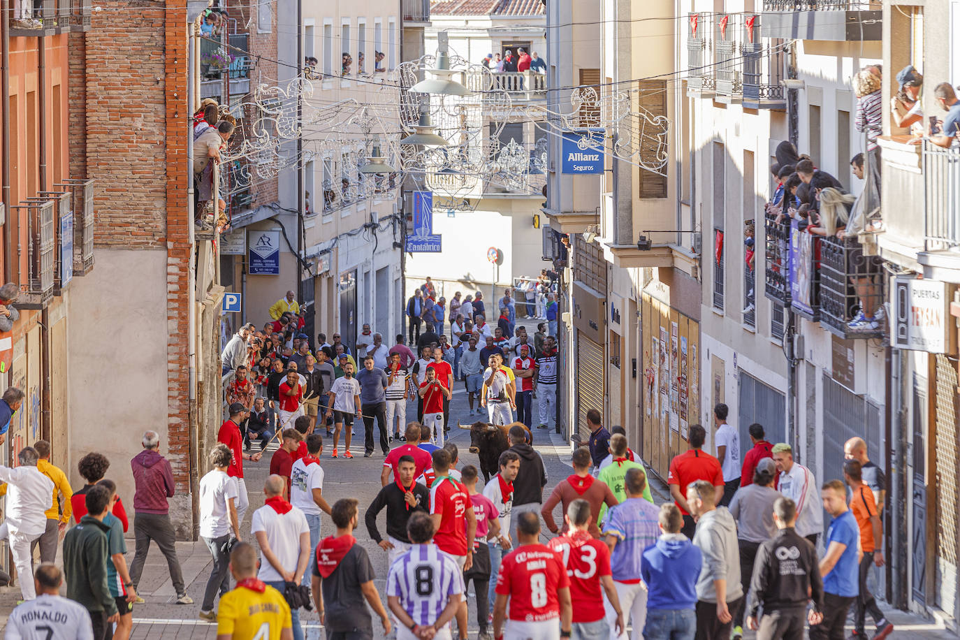 El cuarto encierro de Cuéllar, en imágenes (1 de 2)