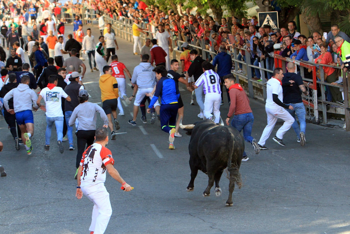 El cuarto encierro de Cuéllar, en imágenes (2 de 2)