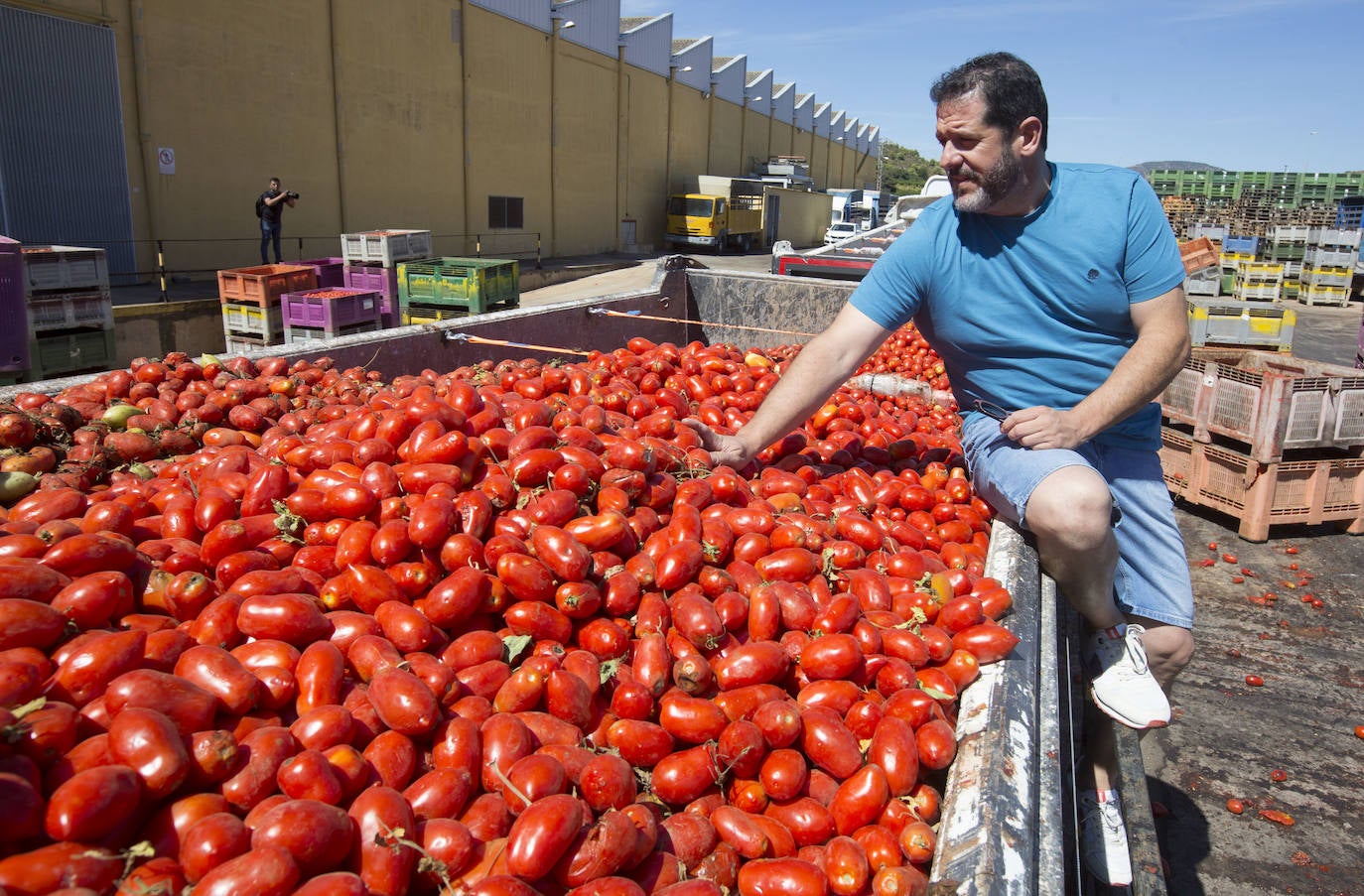 La Tomatina de Buñol, en imágenes