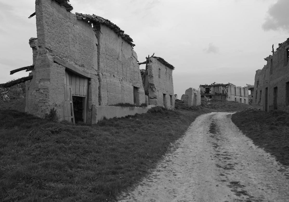 Villacreces (Valladolid). «Es la fotografía más representativa de 'Mapas cerrados', de las primeras imágenes que capté para este proyecto. Impresiona ver los restos de la calle principal de un pueblo que tuvo 160 habitantes».