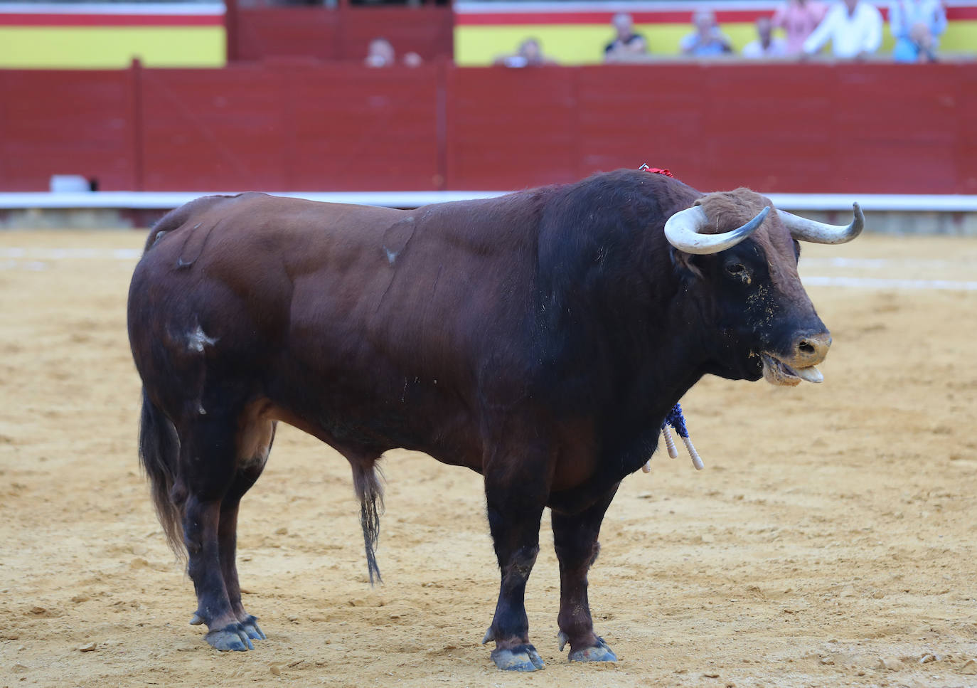 Tercera corrida de toros de San Antolín