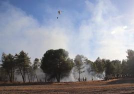 Trabajos de extinción, por tierra y aire, del incendio de Chatún.