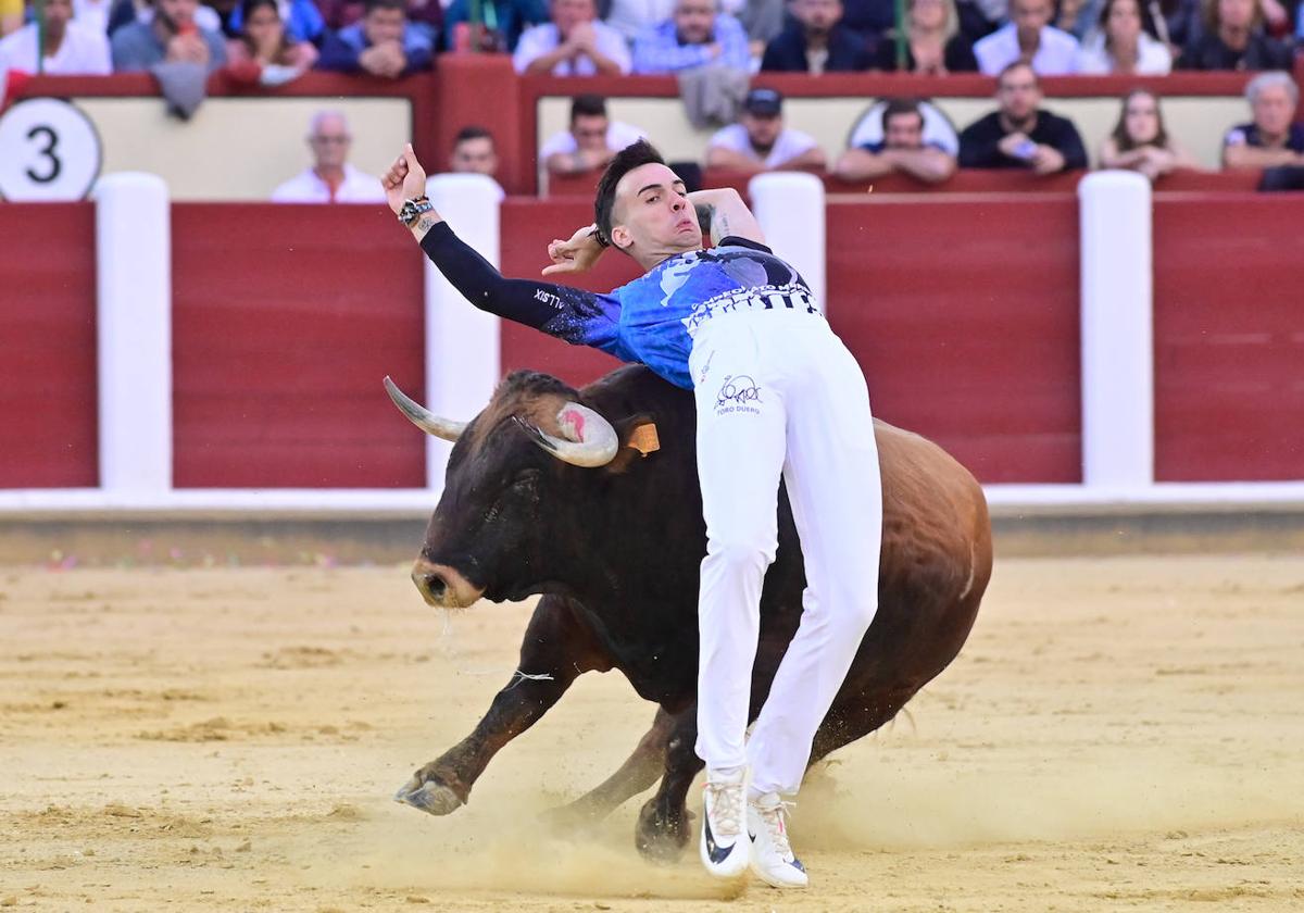 La final del Campeonato Mundial de Cortes, en imágenes (I)