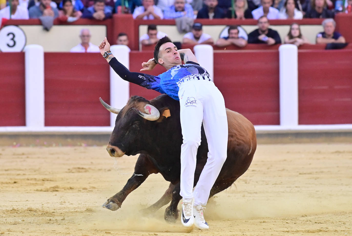 La final del Campeonato Mundial de Cortes, en imágenes (I)