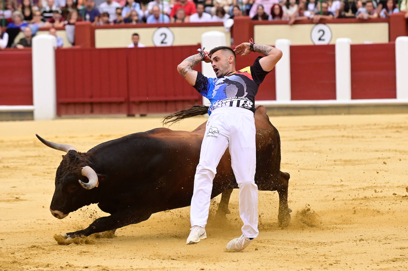 La final del Campeonato Mundial de Cortes, en imágenes (II)