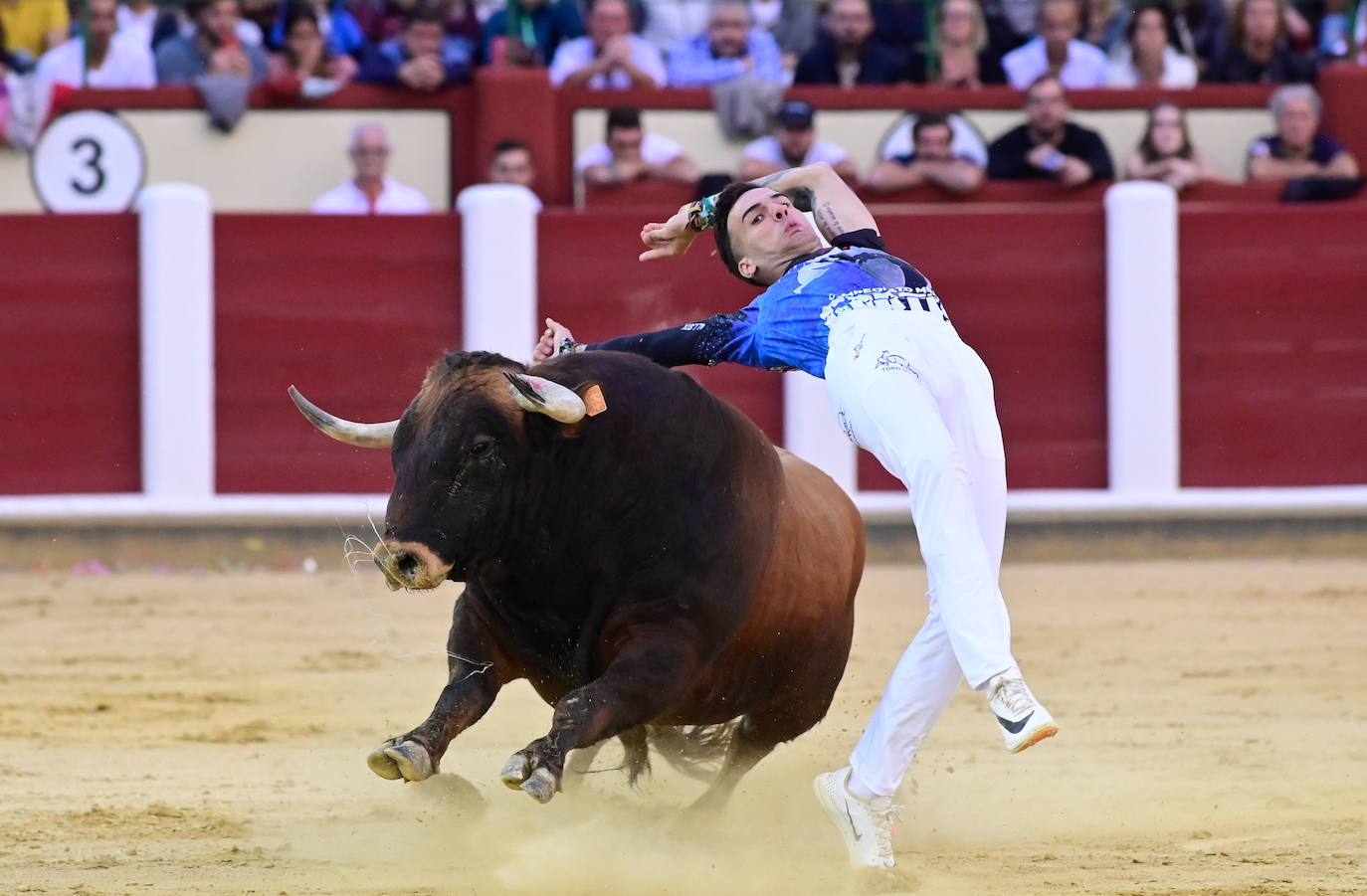 La final del Campeonato Mundial de Cortes, en imágenes (II)