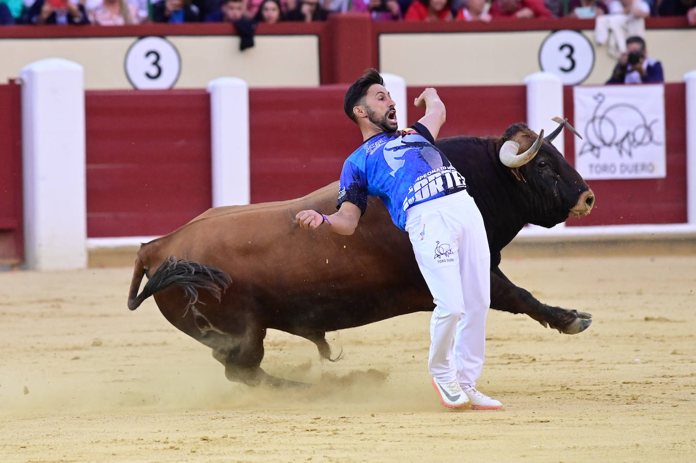 La final del Campeonato Mundial de Cortes, en imágenes (II)