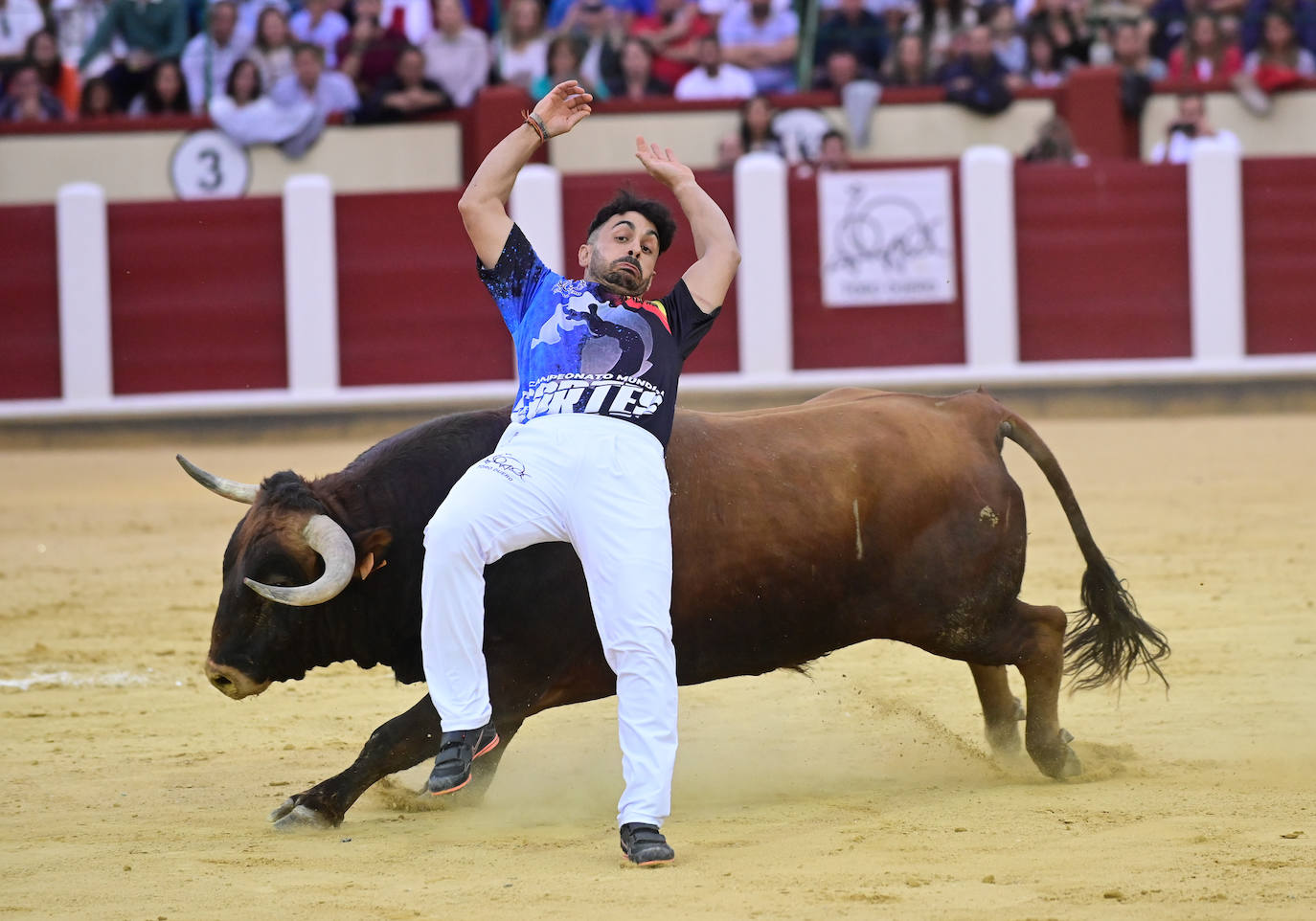 La final del Campeonato Mundial de Cortes, en imágenes (II)