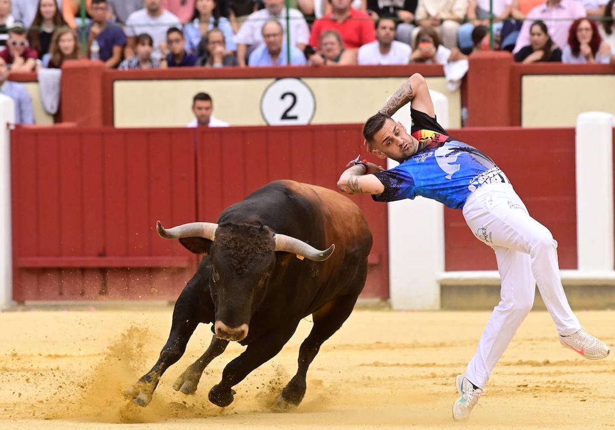 La final del Campeonato Mundial de Cortes, en imágenes (III)