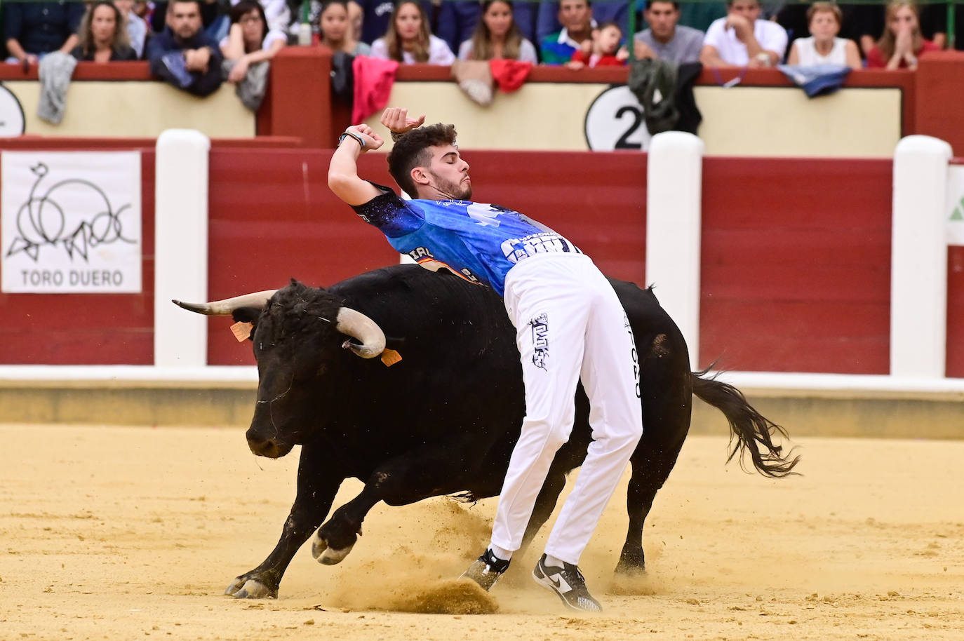 La final del Campeonato Mundial de Cortes, en imágenes (III)