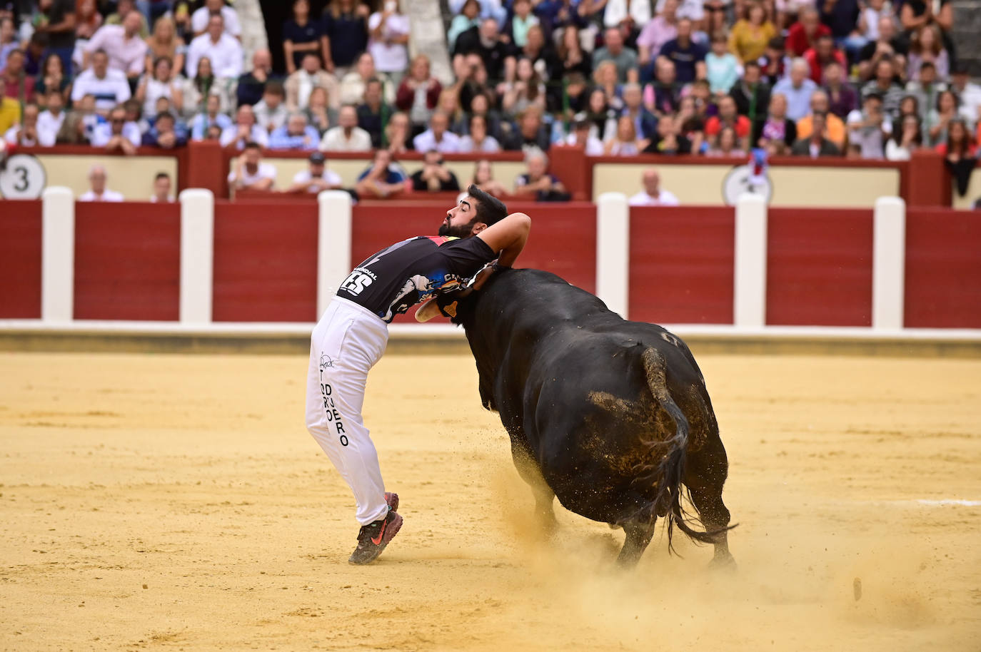 La final del Campeonato Mundial de Cortes, en imágenes (III)