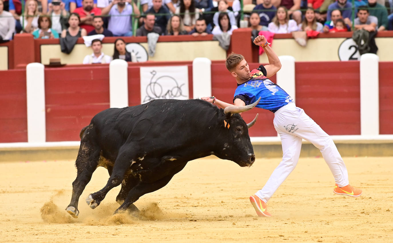 La final del Campeonato Mundial de Cortes, en imágenes (III)