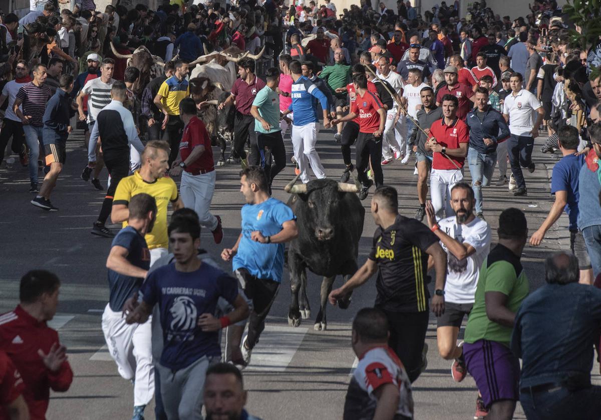 Un momento del primer encierro, el pasado 27 de agosto.