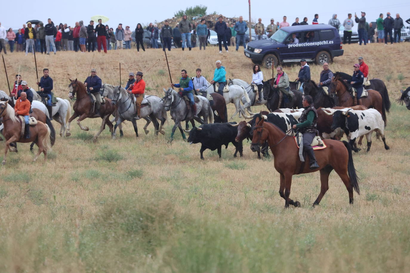 Encierro del domingo en Medina del Campo