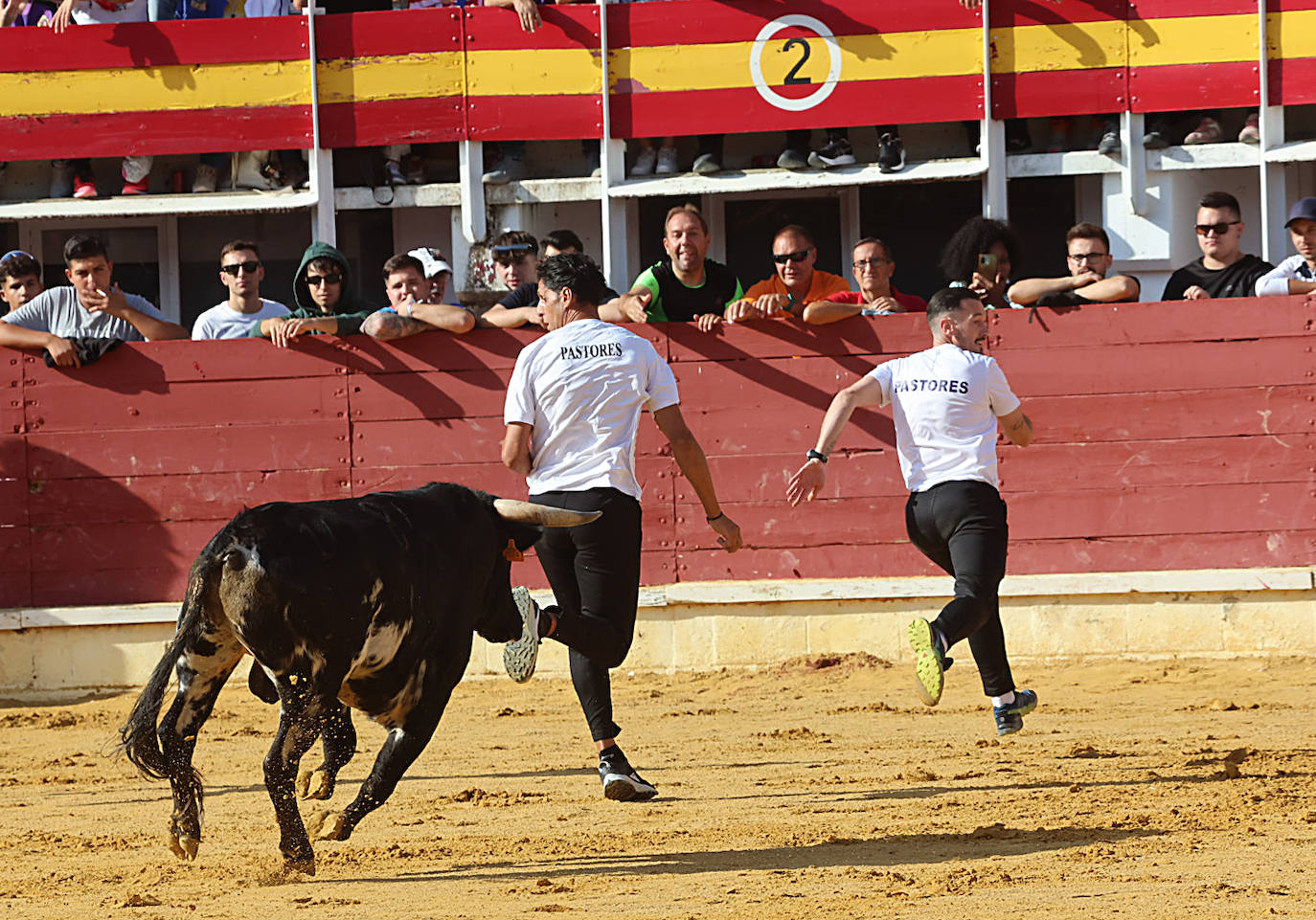 El encierro del miércoles de Medina del Campo, en imágenes