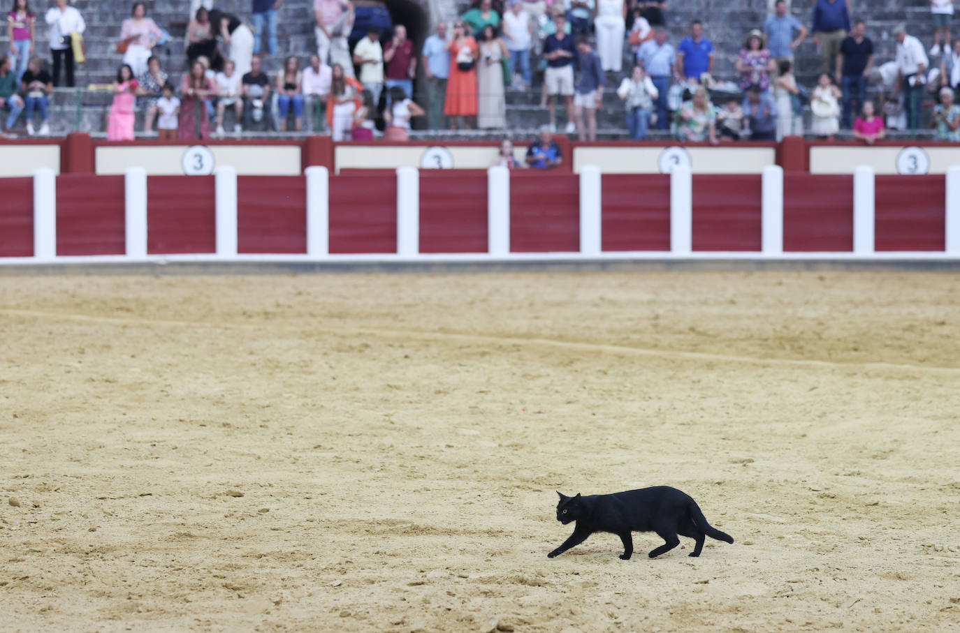 En imágenes, la corrida de rejones