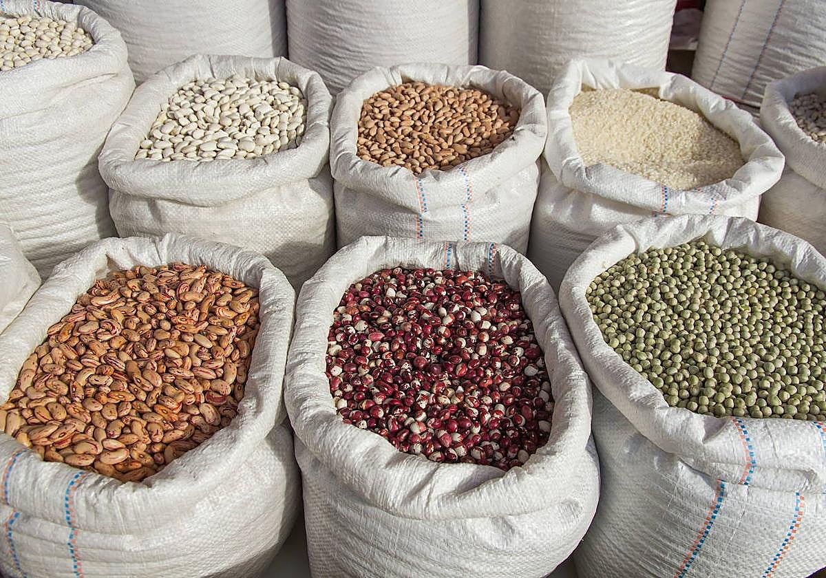 Distintas variedades de alubias.