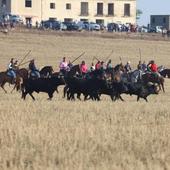 Los toros de Fuente Ymbro protagonizan un encierro rápido en Medina del Campo