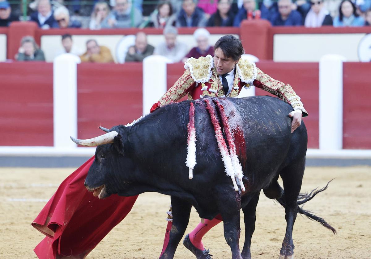 Andrés Roca Rey, durante su actuación en la pasada feria de San Pedro Regalado.